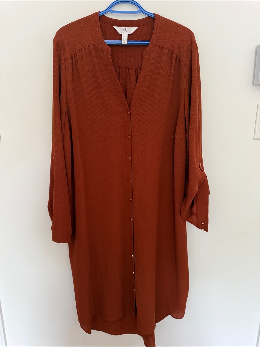 Addition Elle Long Sleeve Button-Front Dress in Rust